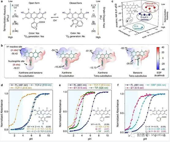 四川大学吴鹏研究员聚焦极端酸性条件下的光敏剂开发