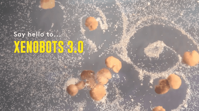 全球首个可自我繁殖活体机器人问世！